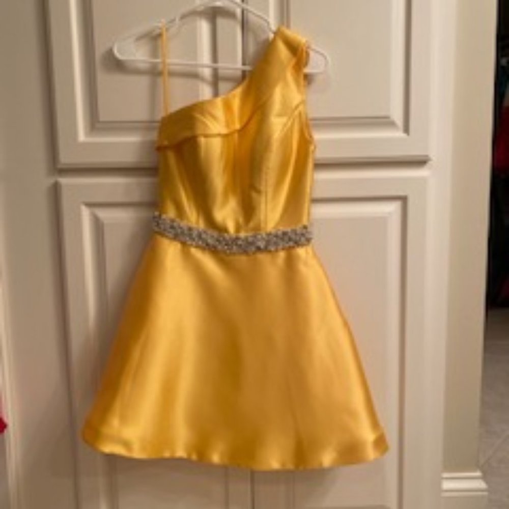 AshleyLauren cocktail dress